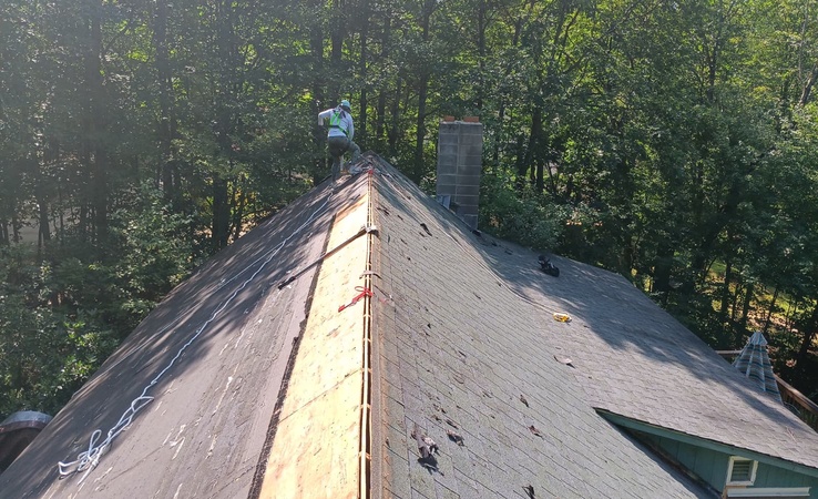 imgagen_home_standrs_12_resized_738x450